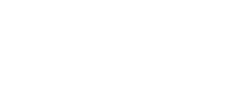 Tiger Global 